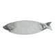 Glass and silver-plated fish trivet