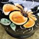 Vase fleurs vintage Germany