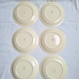 Villeroy & Boch yellow dinner plates