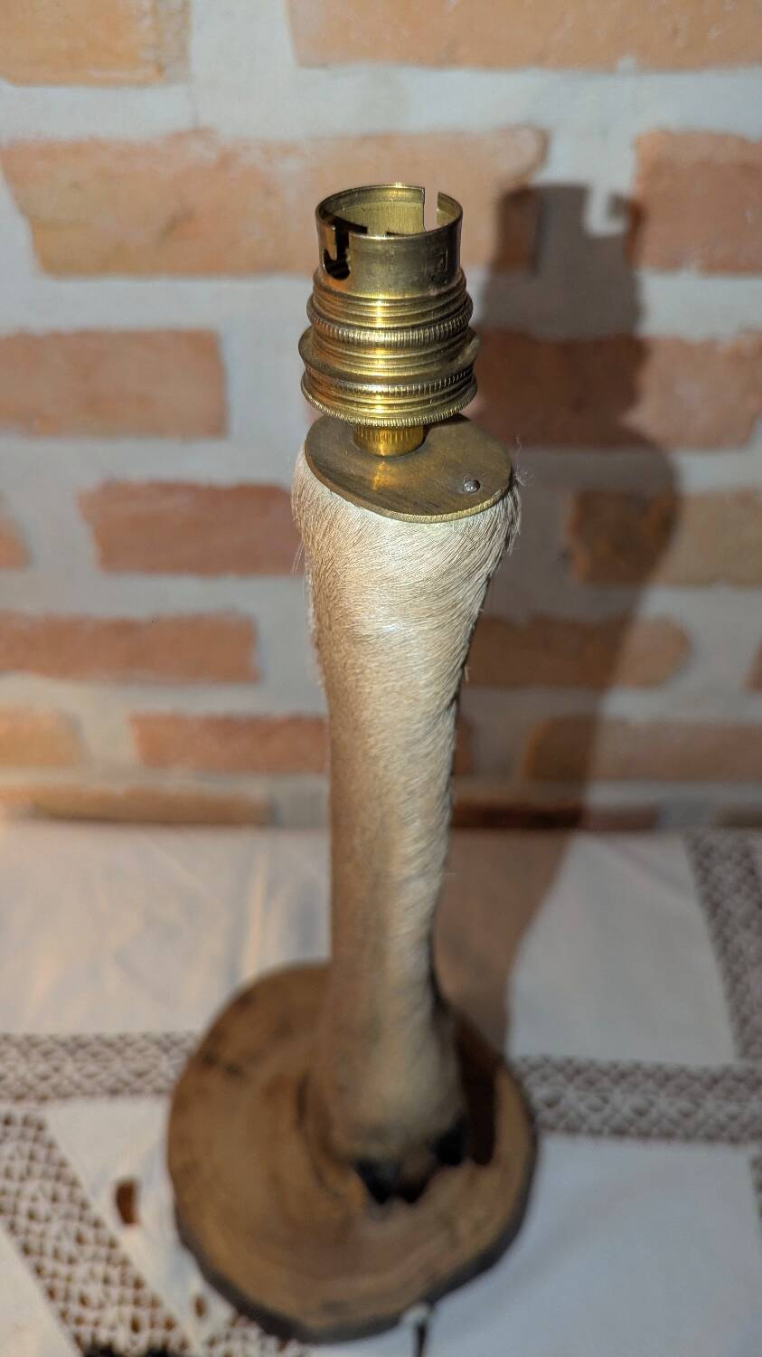 Hunting Lamp Base, Doe/Stag, Cabinet of Curiosities