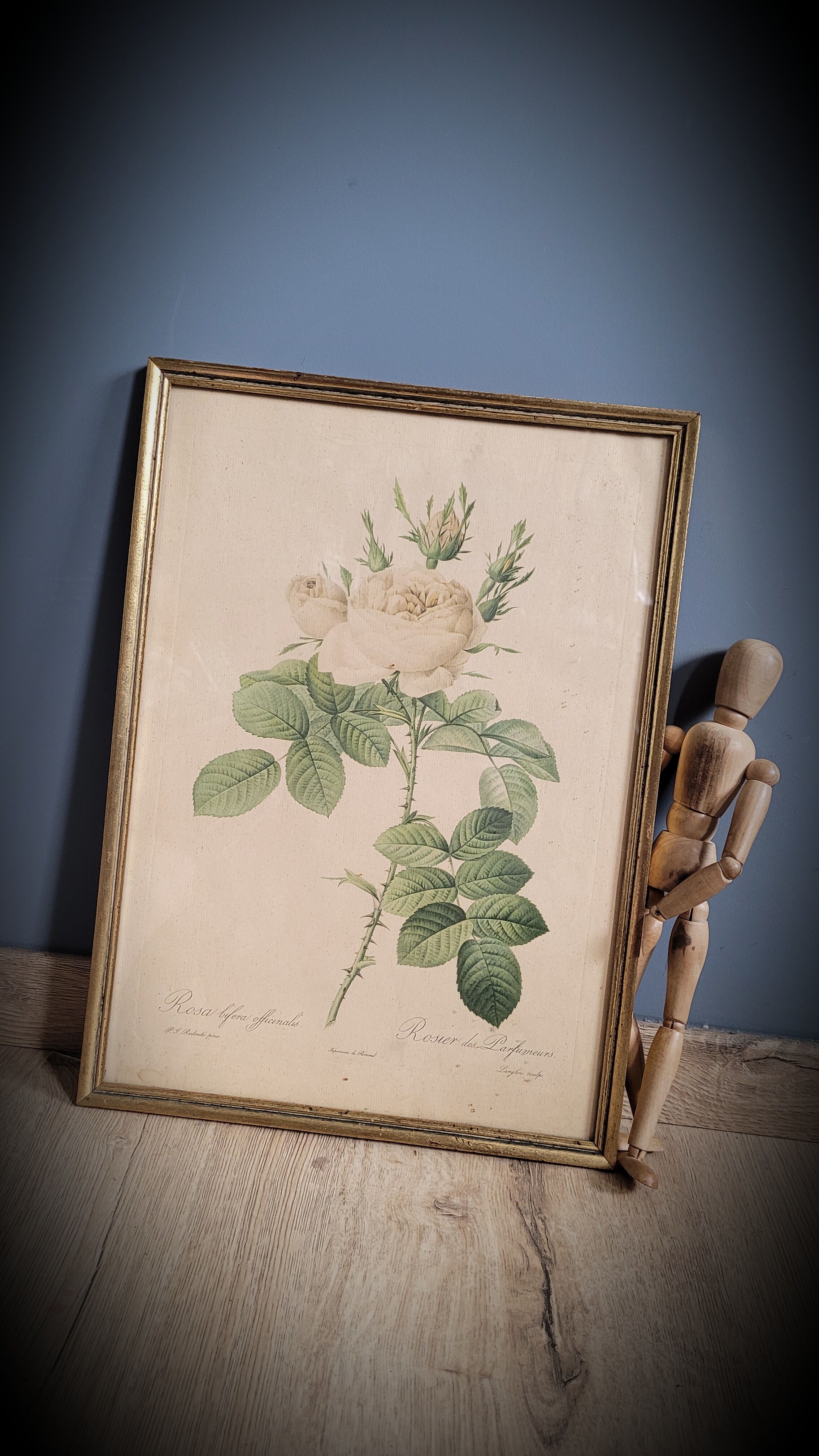 Litho rosier perfumers