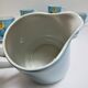 Limoges porcelain parakeet decor coffee service