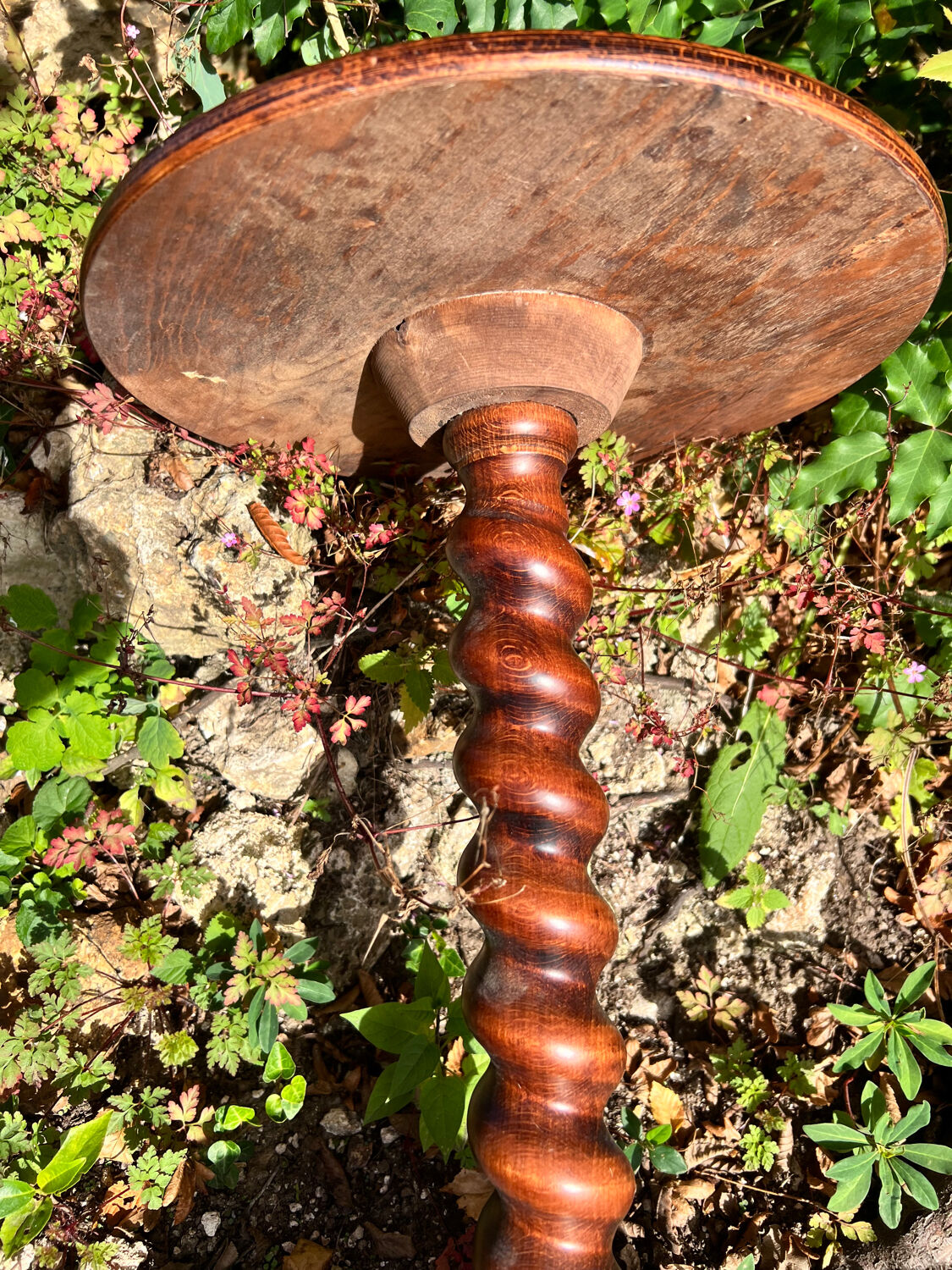 Low side table, harness
