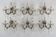 Set of six Maria Teresa sconces. Italy 1940s