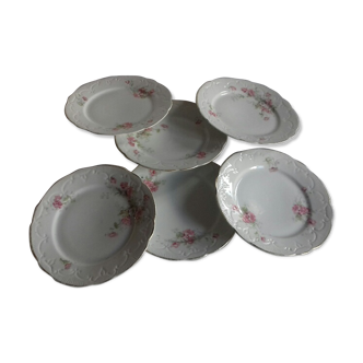 Lot of 6 old porcelain plates, rose pattern
