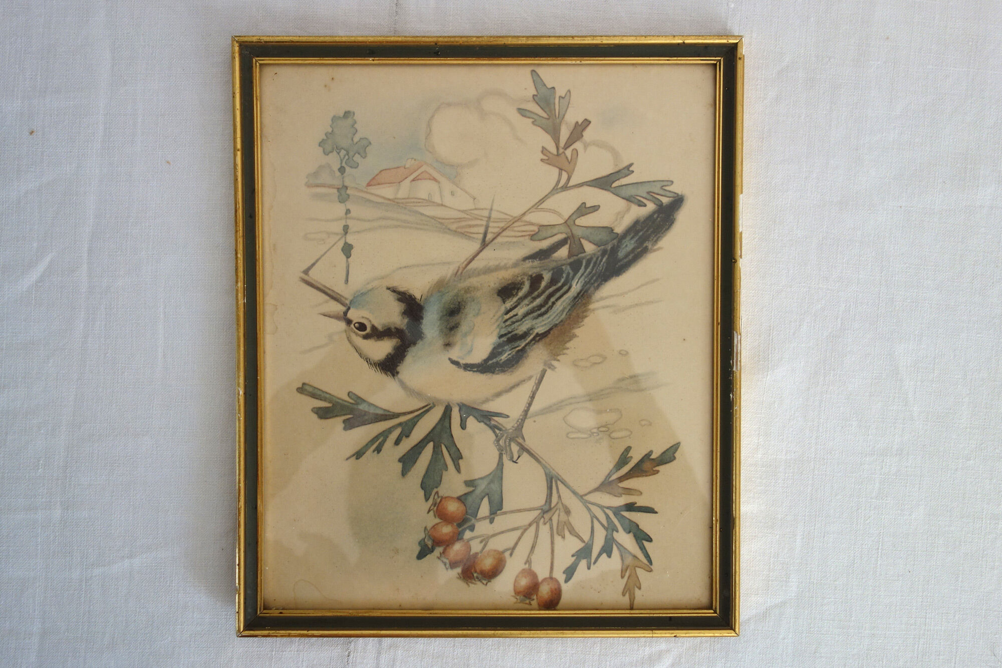 3 framed bird lithographs