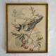 3 framed bird lithographs