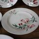 6 old Pec model flat plates from the Société amandinoise Saint-Amand
