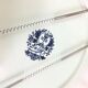 Hollow dish and wall hanger earthenware M.R.L Boch Delft's 39.5 cm