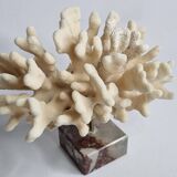 Antique White Coral on Marble Base, Height 18 cm