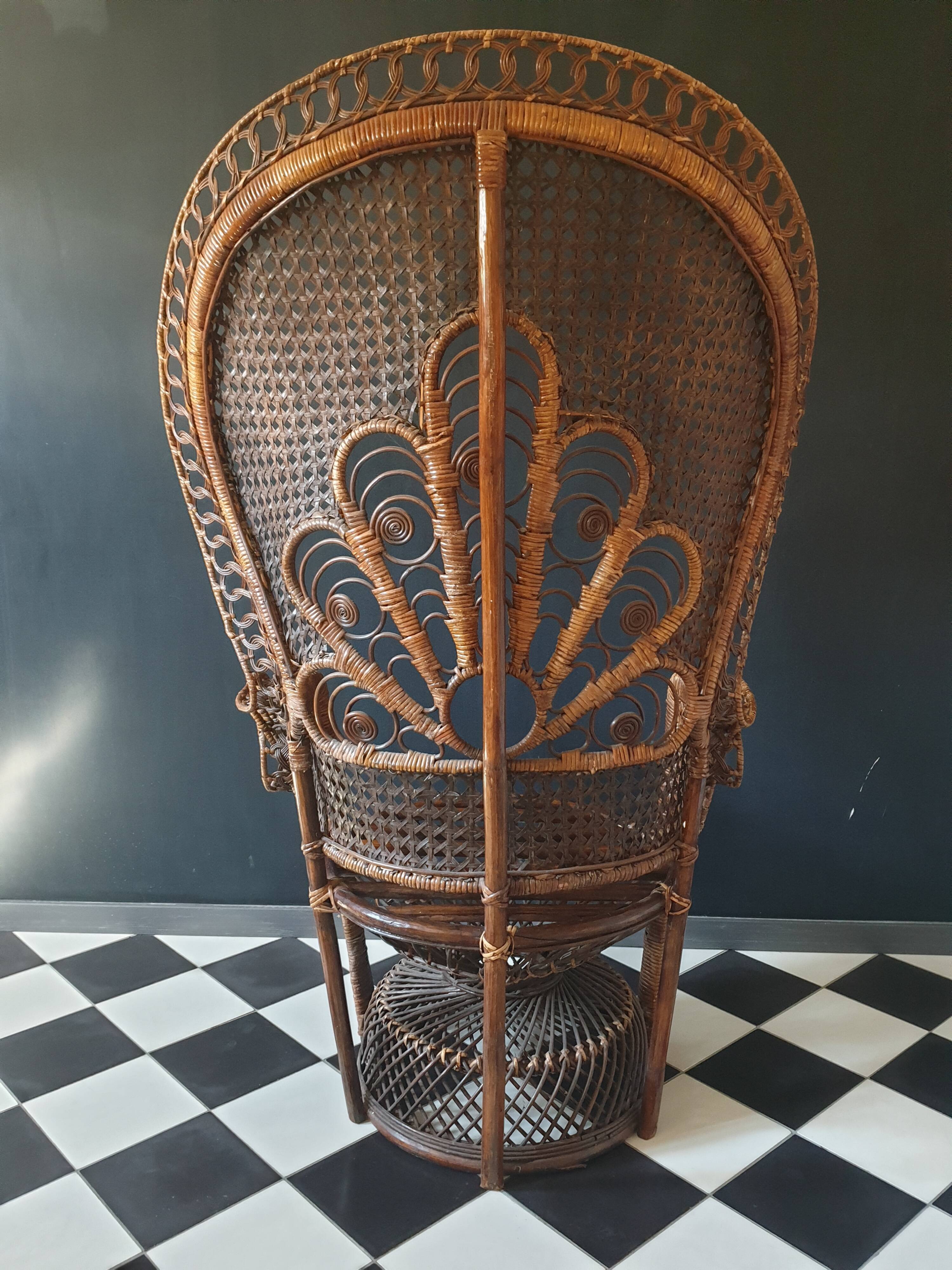 Emmanuelle peacock chair