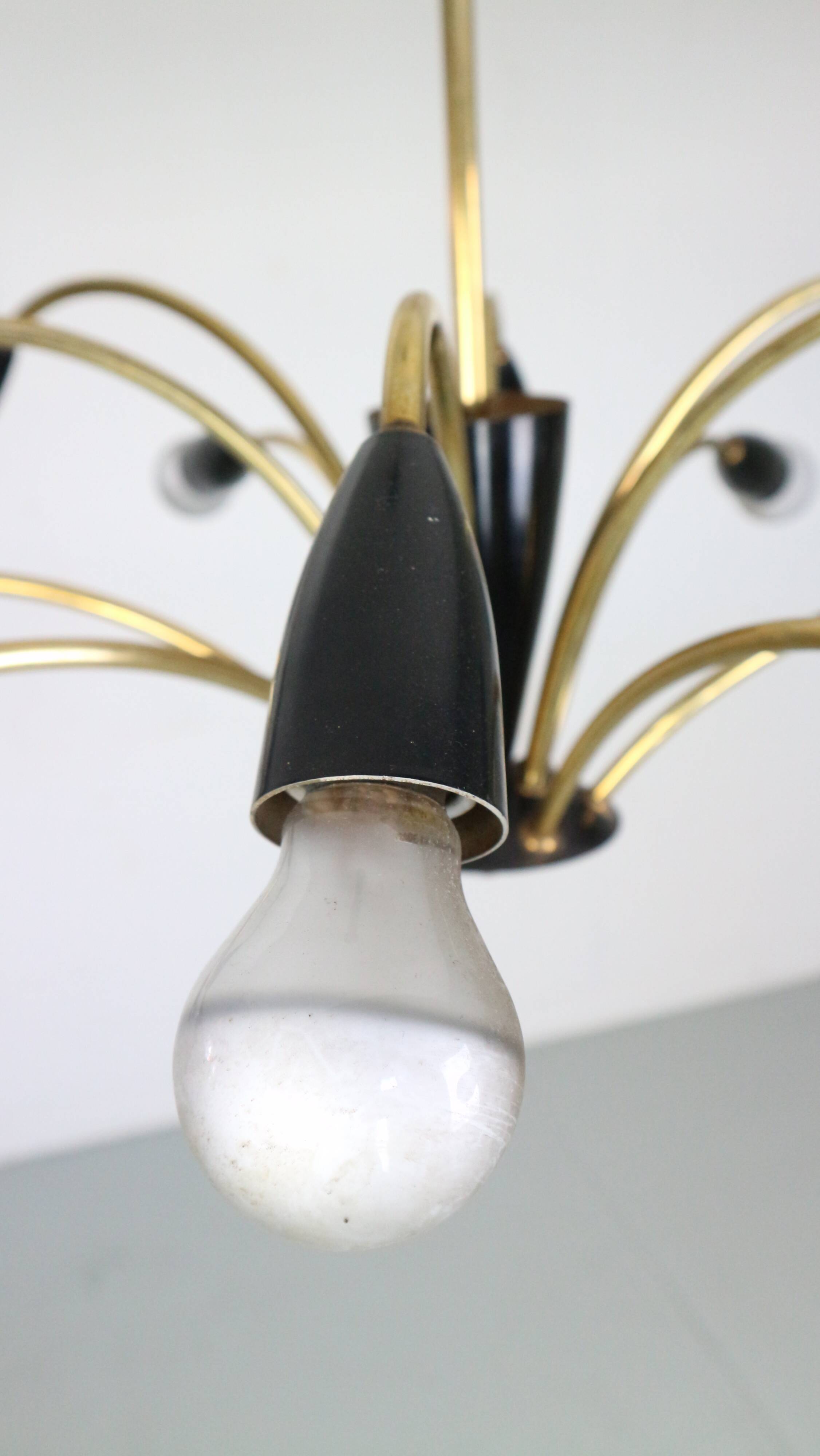Italian Black and brass 12 arm Spider Chandelier  1950s
