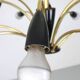 Italian Black and brass 12 arm Spider Chandelier  1950s
