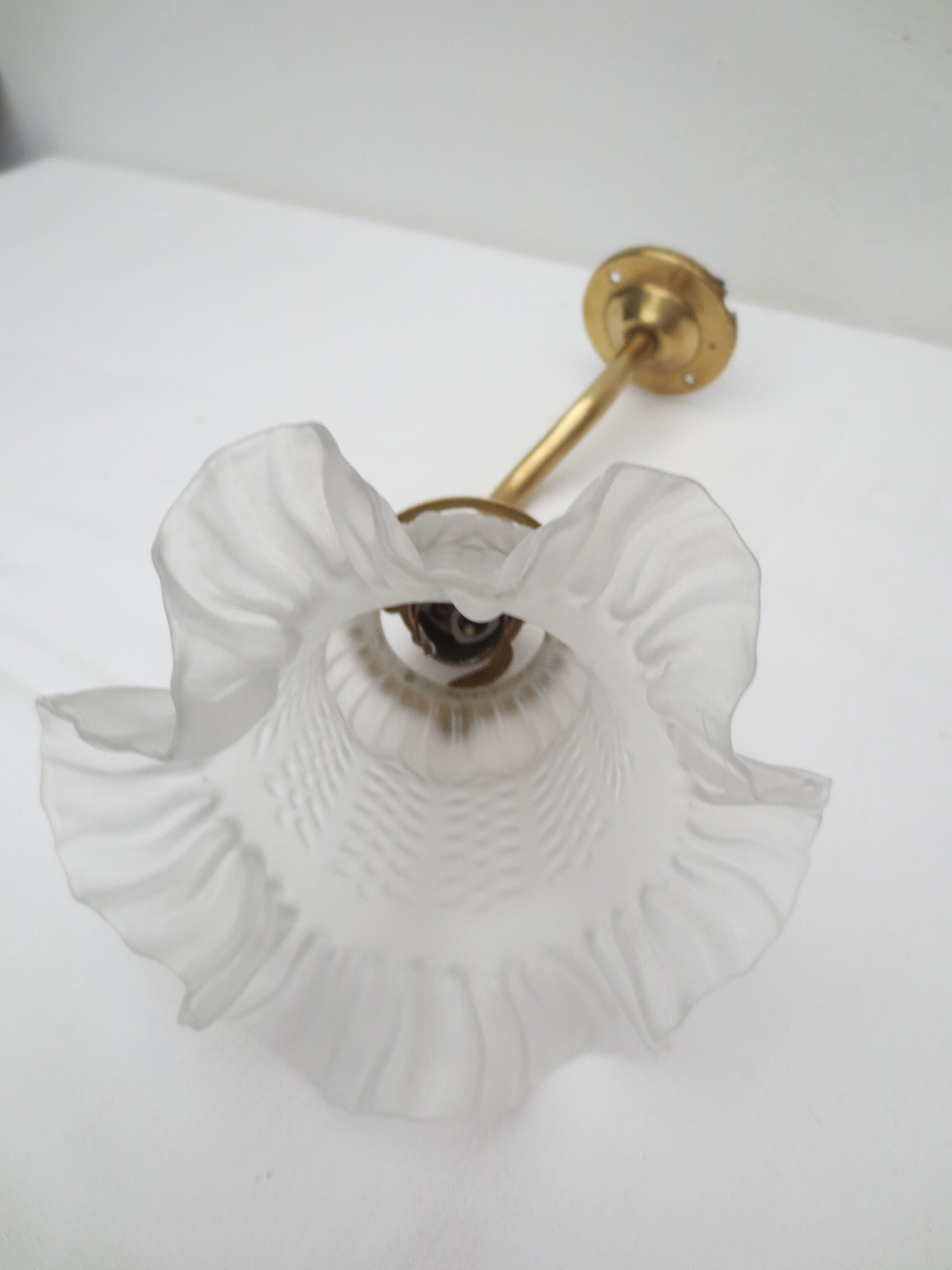 Old gooseneck wall lamp and frosted white glass tulip