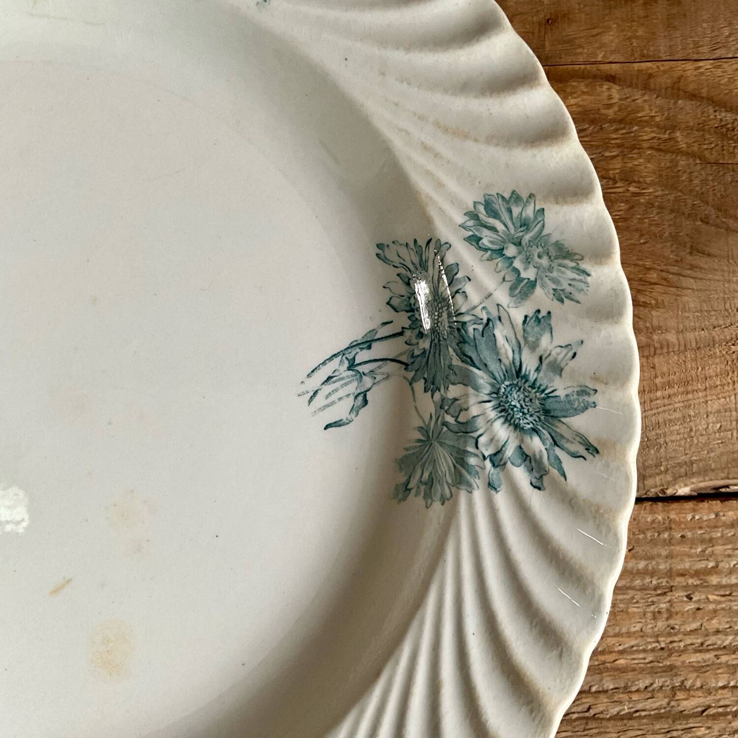 Plat Petrus Regout Pinksterbloem