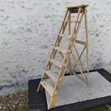 Large stepladder