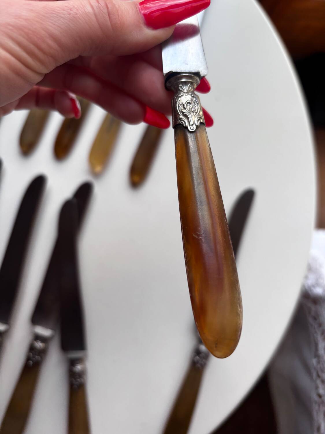 18 Wiskemann table knives in horn