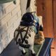 Horse statuette