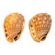 Pair of large seashells cyprae cassis rufa