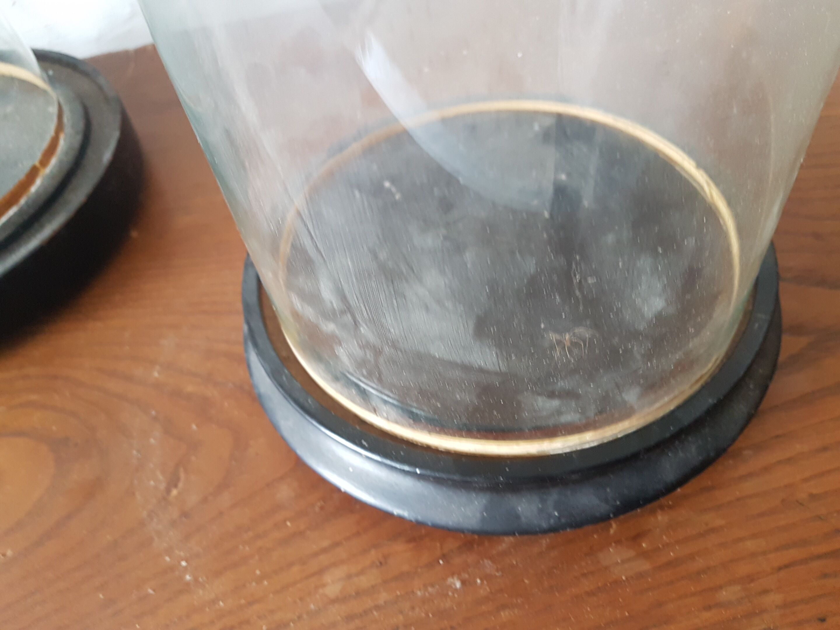 Globe of bride Napoleon III