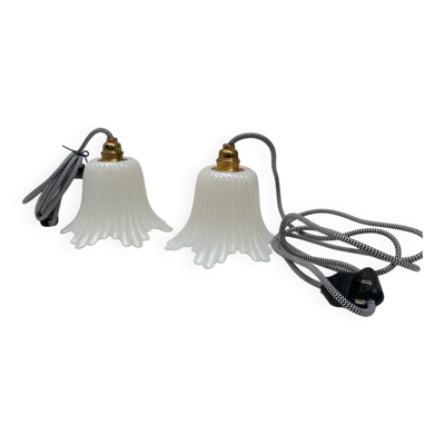 Paire de lampes baladeuses tulipe vintage