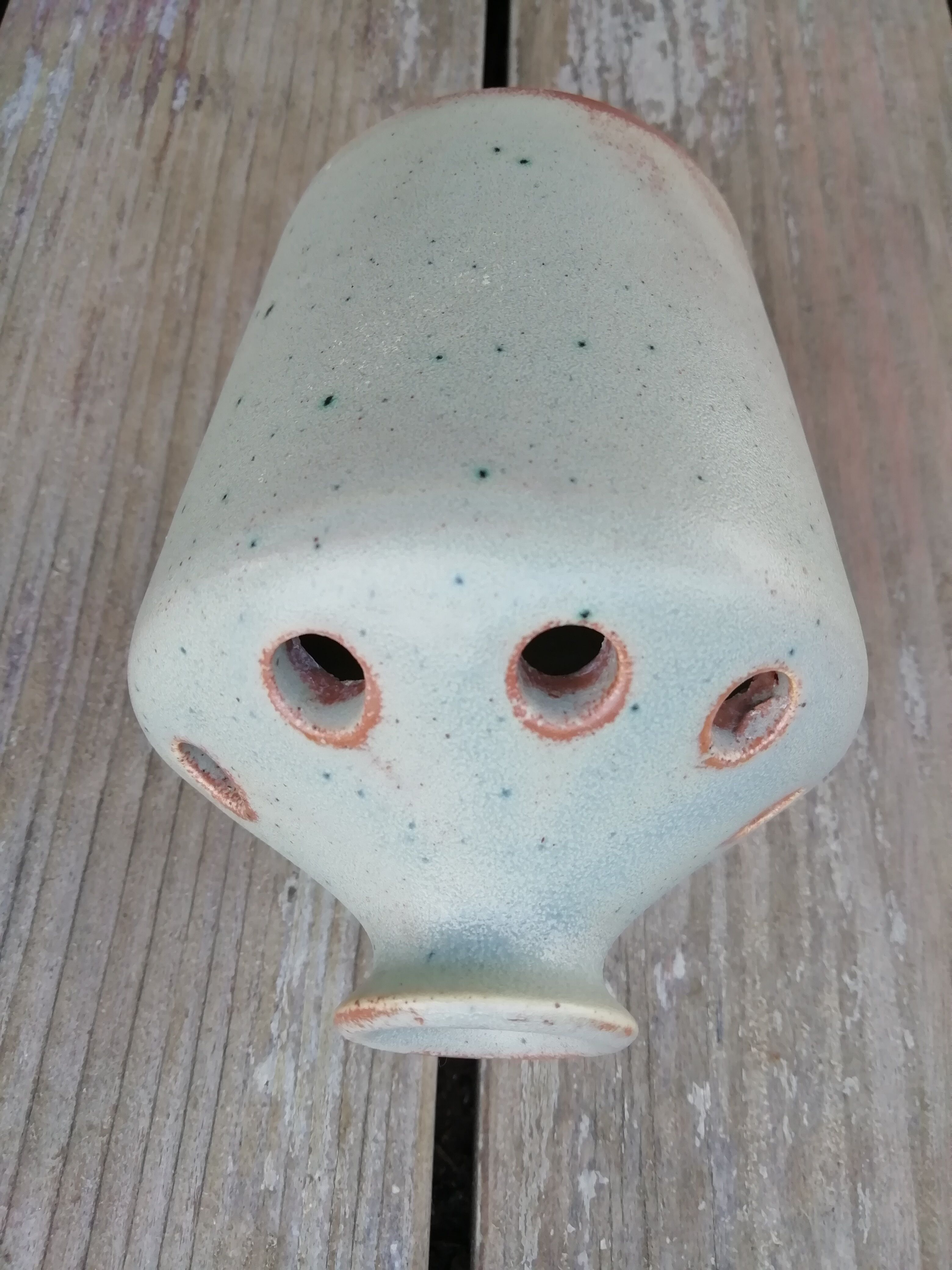 Vase stings flowers