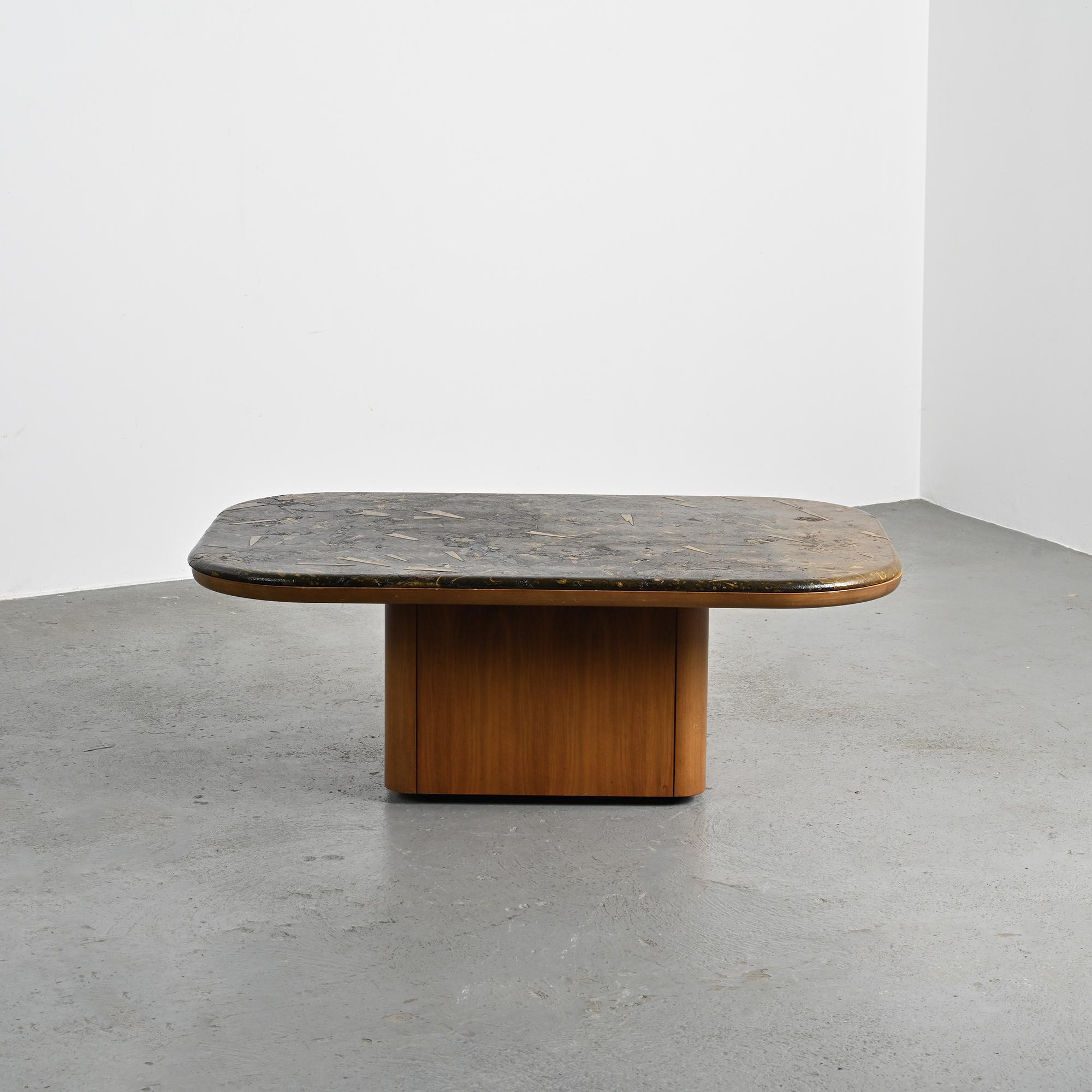 Fossil stone coffee table, Fossile collection, Switzerland, circa 1980.