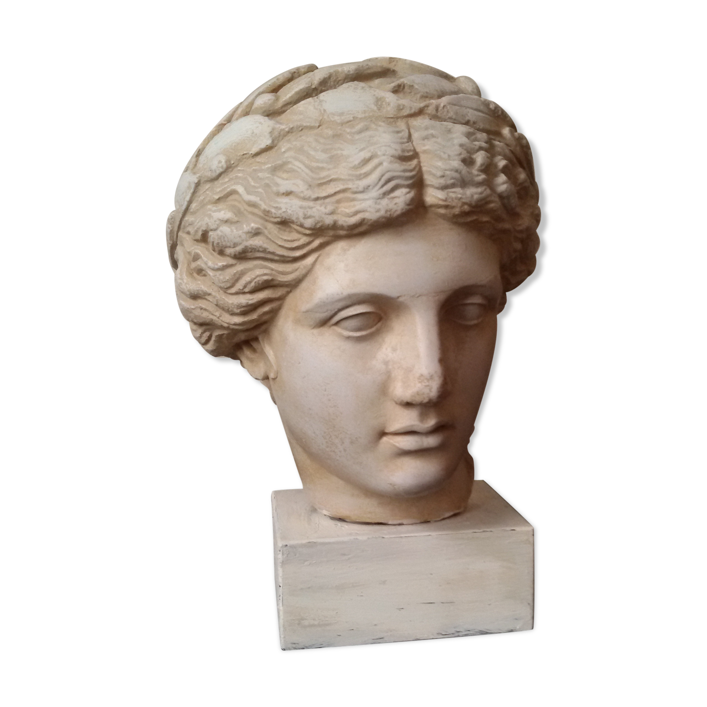 Bust plaster goddess XIX