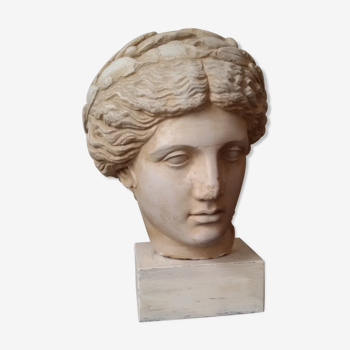Bust plaster goddess XIX