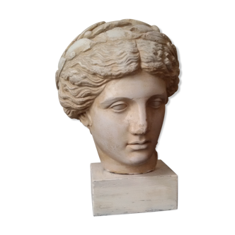 Bust plaster goddess XIX
