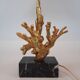 Lampe de table - forme de corail - marbre et métal doré