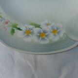 Set of five hollow earthenware plates