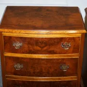 Nightstands in Walnut Burl with Drawers, Set of 2
