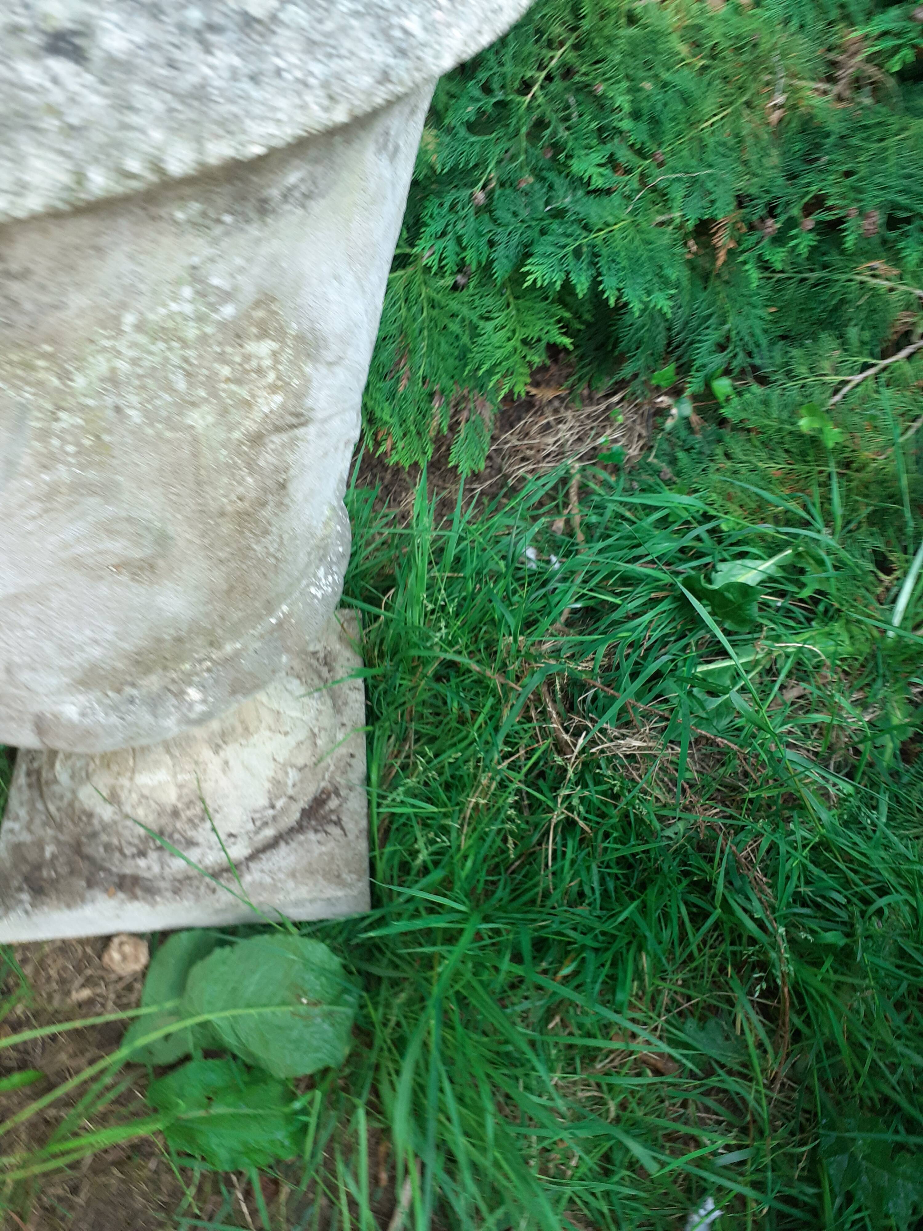 Pair of stone planter medicis