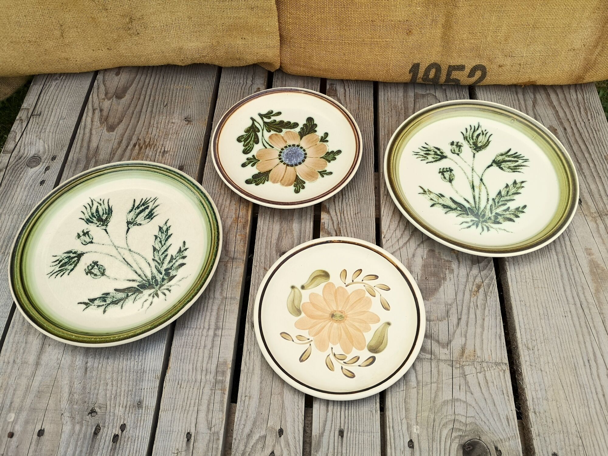 Lot of 4 mismatched plates herbarium vegetable decoration