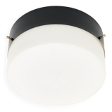 Vintage Opaline Glass Chandelier, 1950s