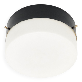 Vintage Opaline Glass Chandelier, 1950s