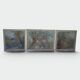 Set of Five Art Nouveau Decorative Panels. Allegory. French Work.