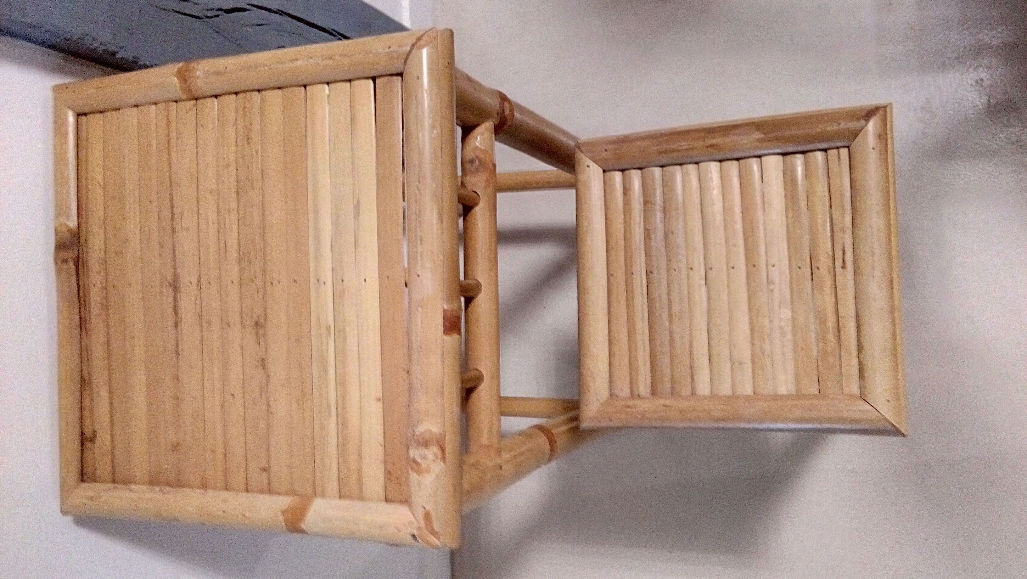 Bamboo selette plant-carrier duo