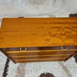 Vintage shoe cabinet from the 60s