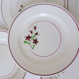5 flat plates from Salins