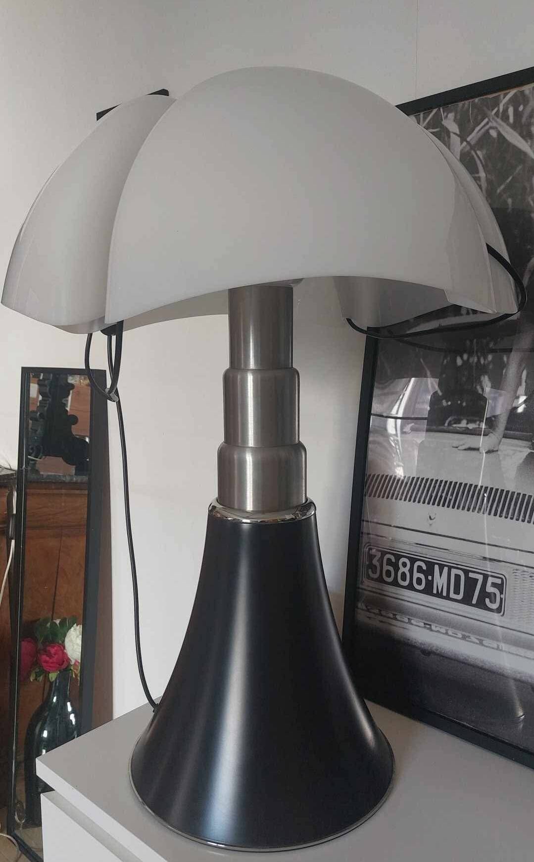 Pipistrello Grand Model Lamp
