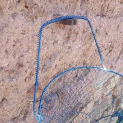 Grand panier de pêche ou récolte ancien 