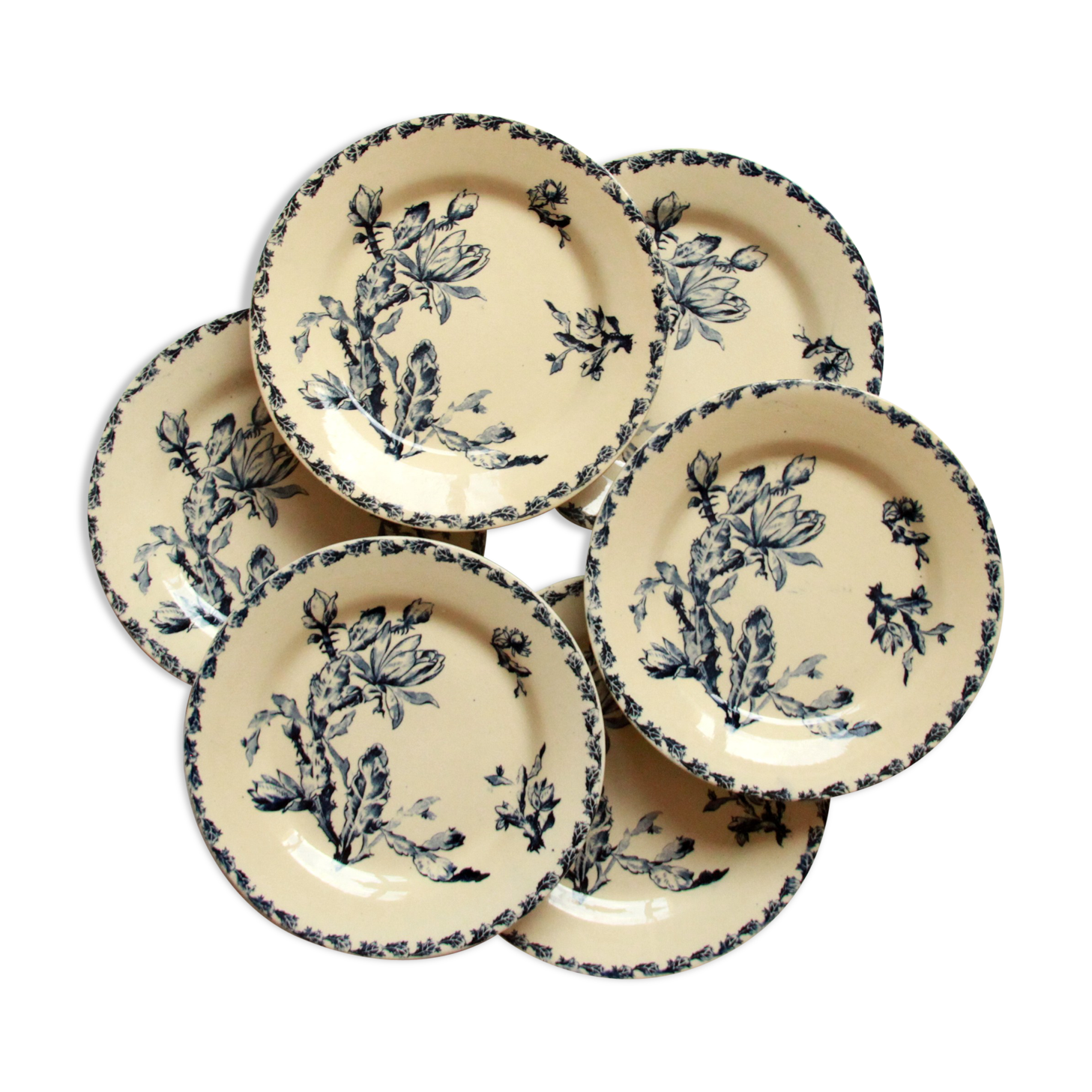 Set of 6 plates flat iron earth Gien Cactus blue porcelain opaque old 19 th earthenware
