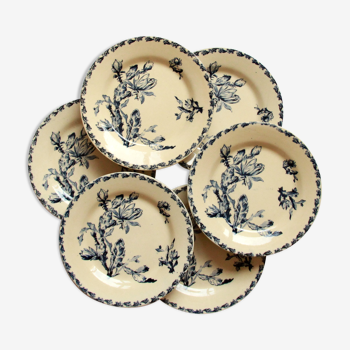 Set of 6 plates flat iron earth Gien Cactus blue porcelain opaque old 19 th earthenware