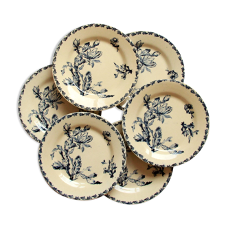 Set of 6 plates flat iron earth Gien Cactus blue porcelain opaque old 19 th earthenware