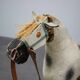 Cheval à bascule du milieu du siècle, années 1960, Tchécoslovaquie