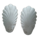 Pair of white earthenware shells 19th