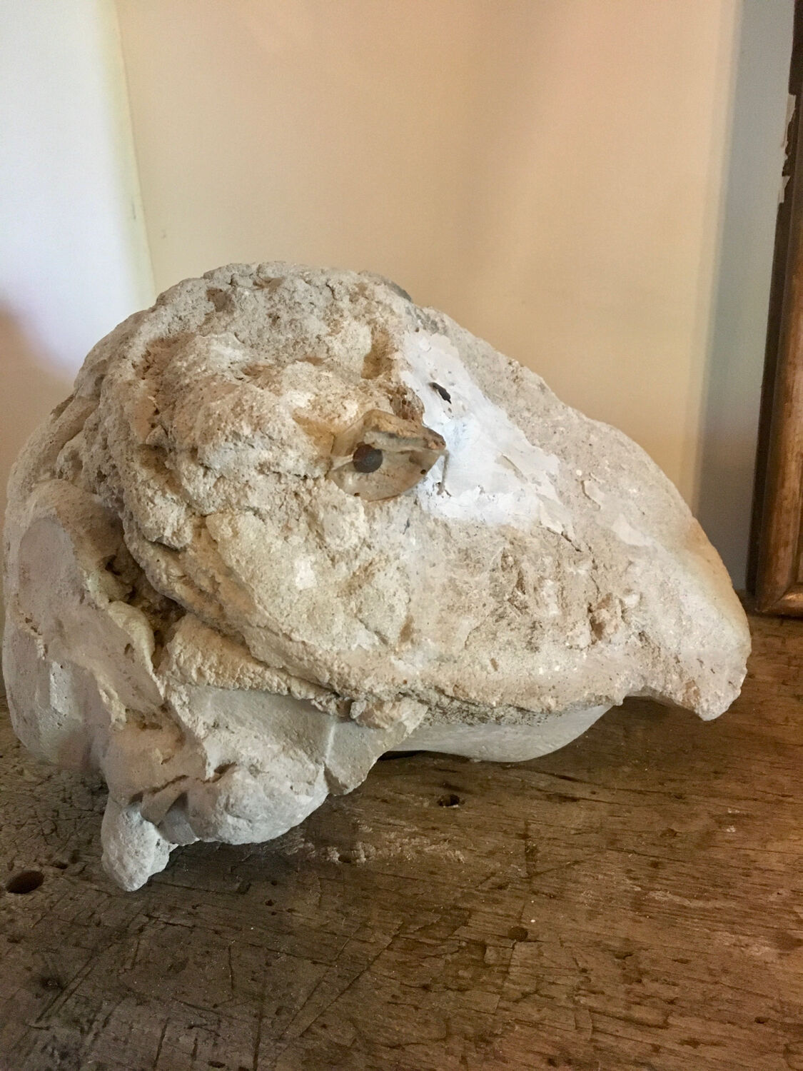 Plaster head