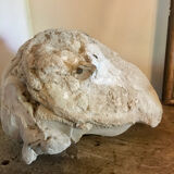 Plaster head
